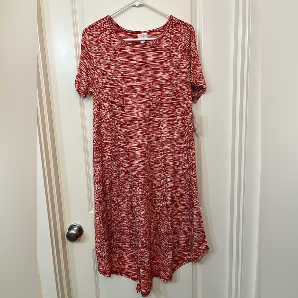 NWT LuLaRoe Carly Swing Dress